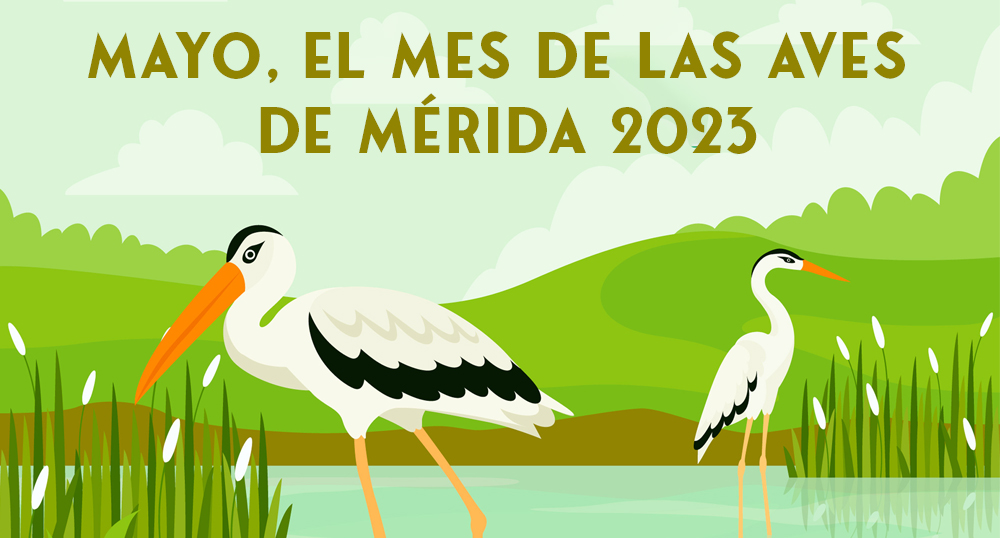 1.496 escolares de Educación Primaria participarán, durante el mes de mayo, en las actividades del “Mes de las Aves”