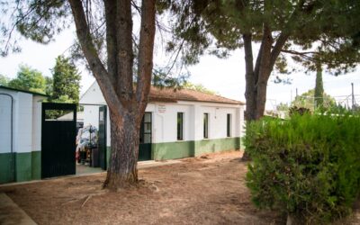 El Ayuntamiento ampliará el Centro Zoosanitario para albergar catorce nuevos cheniles