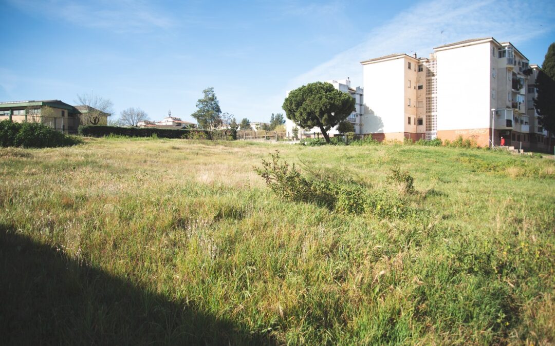 El ayuntamiento saca a licitación pública la instalación de un cajero en Nueva Ciudad y la redacción del proyecto del Hogar de Mayores junto a la parroquia de Los Milagros