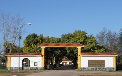 El alcalde anuncia que el ayuntamiento ya ha recibido la solicitud de licencia para la creación del Centro de Acogida de Protección Internacional en el Albergue de El Prado que contará con una inversión de 14 millones de euros y creará 75 puesto de trabajo