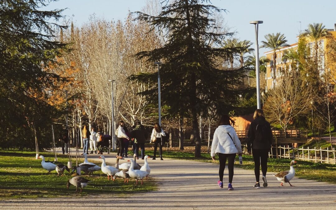 El ayuntamiento licita las mejoras de los jardines y caminos del Guadiana y Proserpina por 990.882 euros y un plazo de ejecución de tres meses