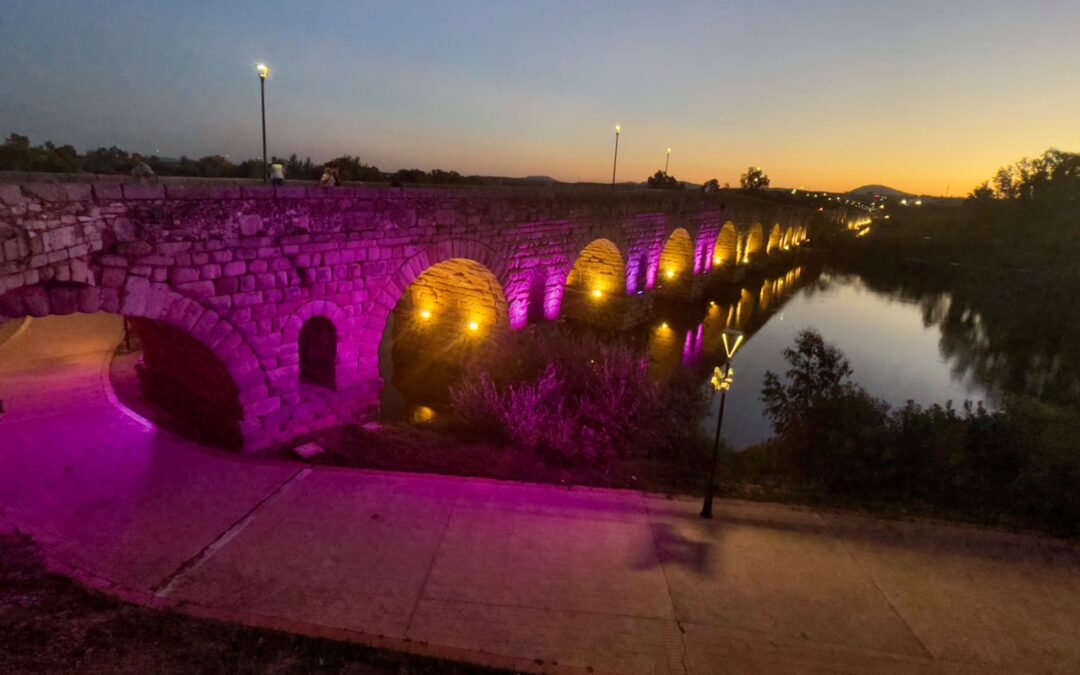 La fachada del Ayuntamiento, la fuente de la Plaza de España y varios monumentos se iluminan mañana en color rosa y azul por el Día Mundial de la Muerte Perinatal