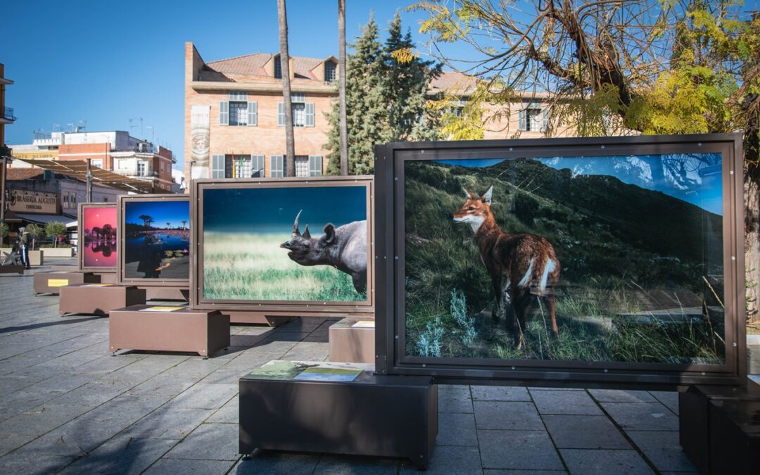 ‘De Polo a Polo’, un viaje fotográfico por los últimos paraísos naturales del planeta