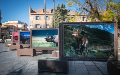 ‘De Polo a Polo’, un viaje fotográfico por los últimos paraísos naturales del planeta