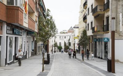 Licitado el contrato del proyecto de acceso a las calles con plataforma única por más de dos millones de euros que contará con cámaras para el control de matrículas y protocolos para reducir las emisiones