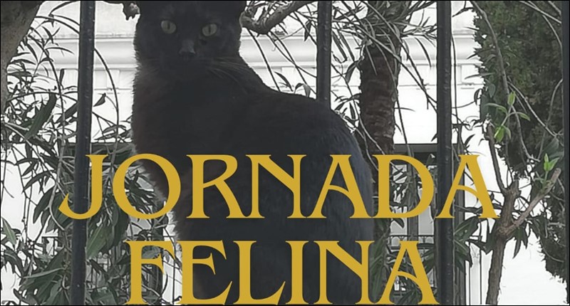 2024-jornada-felina-merida-peq