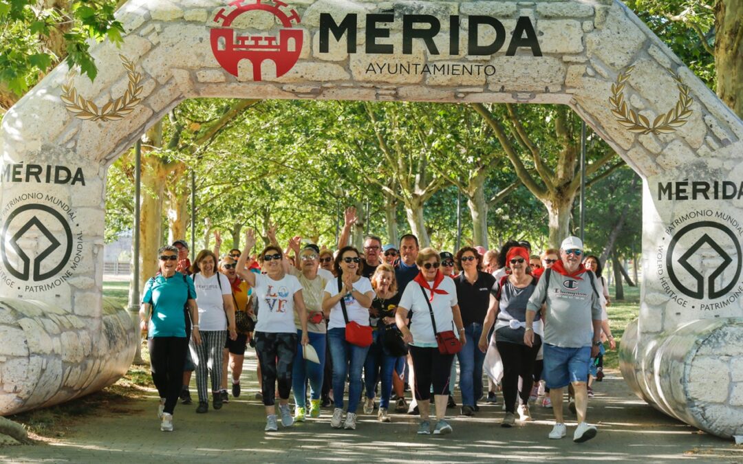 Publicada la licitación de los servicios para el Programa de Envejecimiento Activo de los mayores de la ciudad
