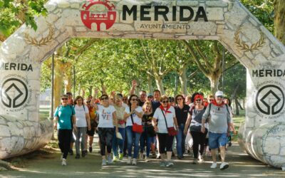 Publicada la licitación de los servicios para el Programa de Envejecimiento Activo de los mayores de la ciudad