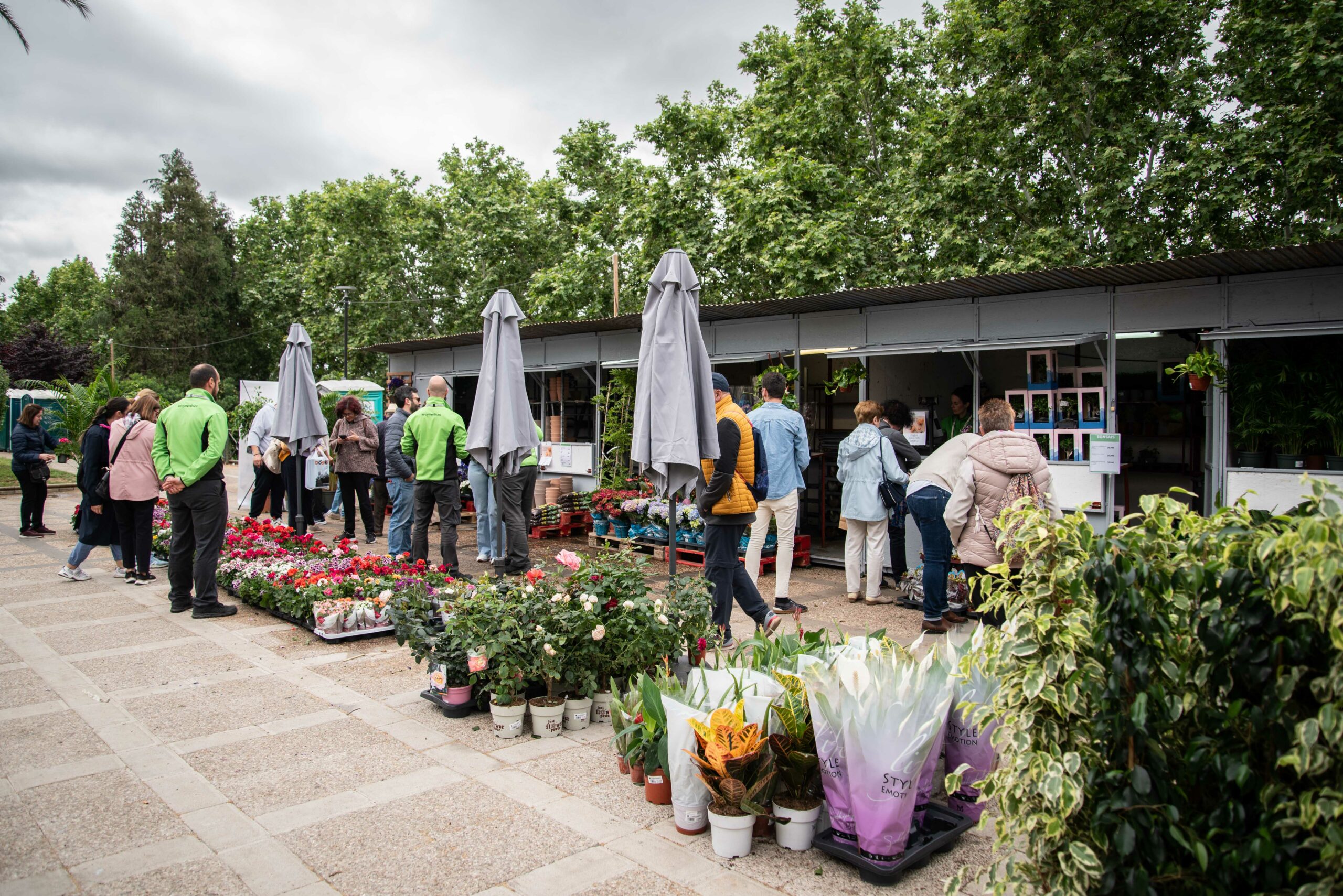 La primera edición del Mercado de las Flores que se está celebrando en el Paseo de Roma está teniendo una gran acogida