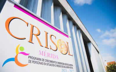 Publicada la licitación para los servicios destinados al desarrollo del programa Crisol