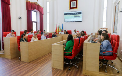 El Gobierno local aprueba en Pleno 65 proyectos y mejoras con cargo a remanente, la mayoría destinados a las barriadas de Mérida, por un valor de 20 millones de euros