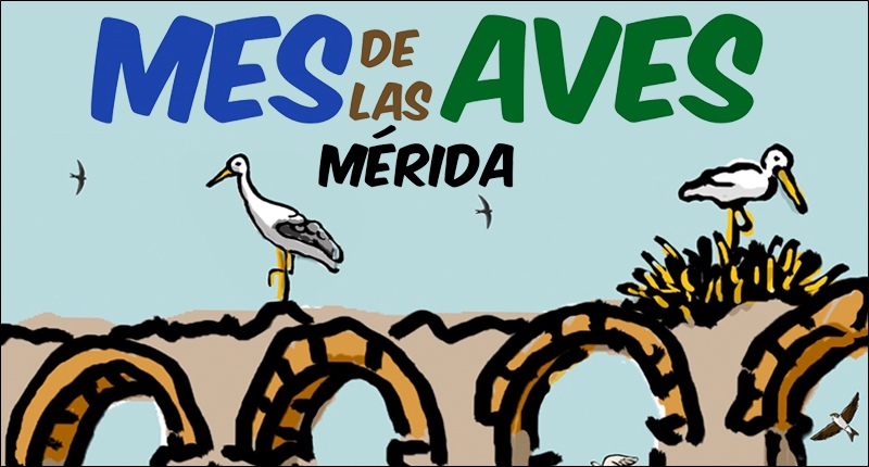 2024-mes-aves-peq