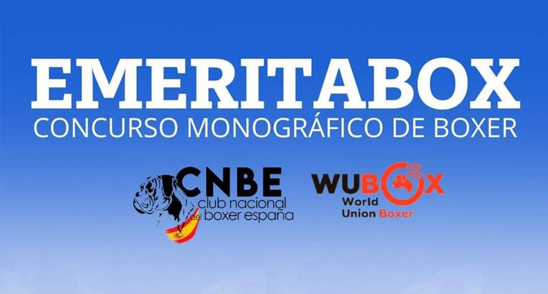 2024-boxer-monografico-peq