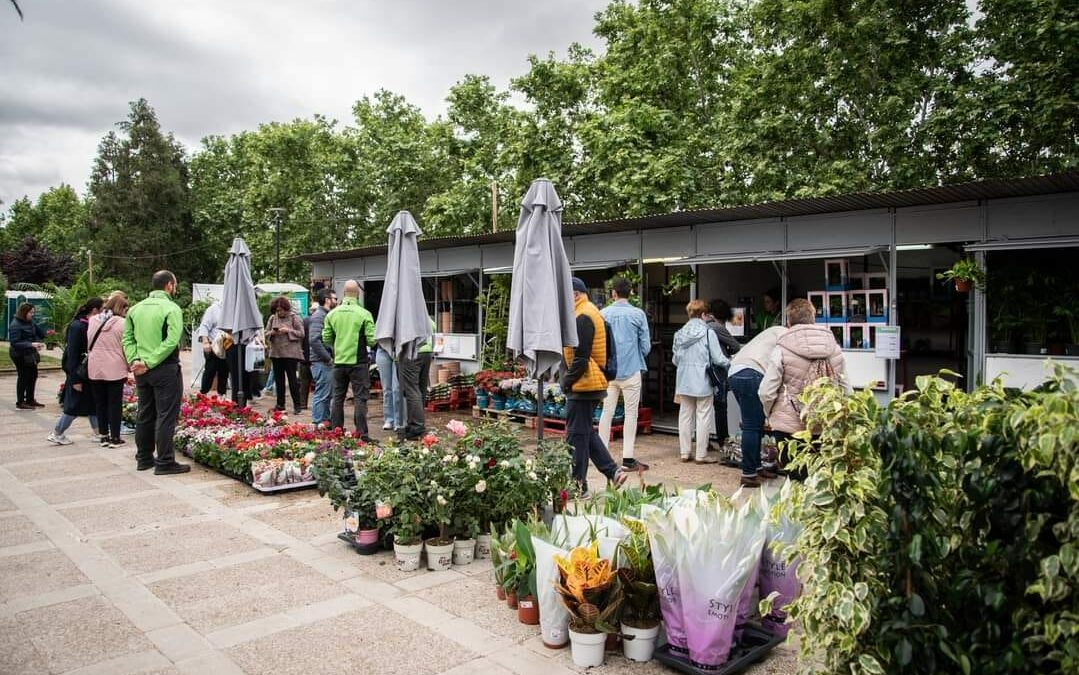 El Mercado de las Flores llenará a partir del lunes el paseo de Roma con más de 200 variedades de plantas en una cita que este año amplía sus casetas y productos