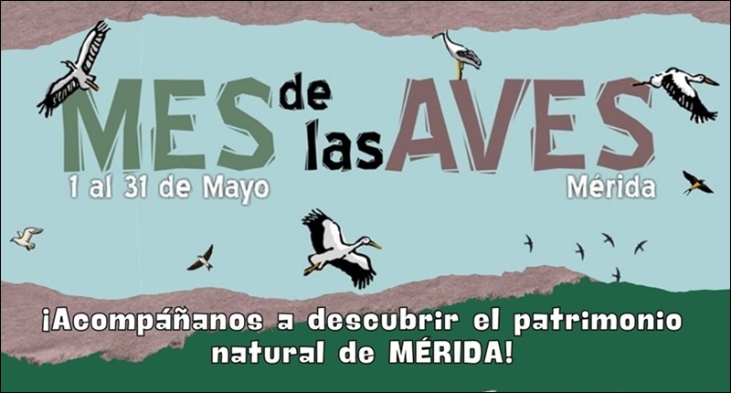 2025-mes-aves-peq