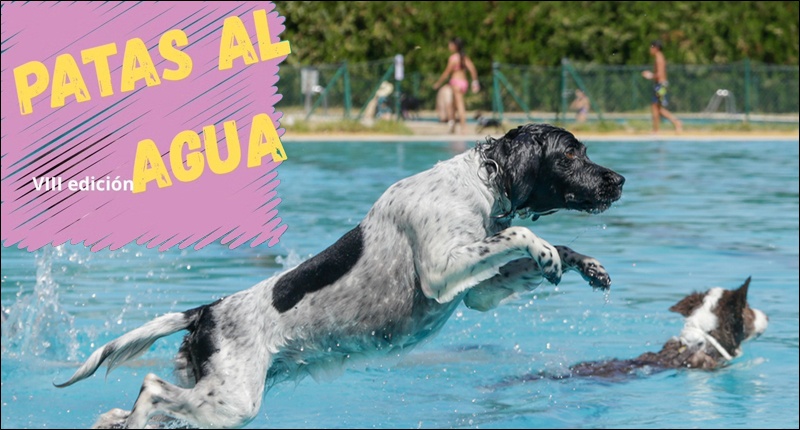 2025-patas-agua-peq