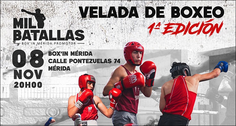 2025-boxeo-peq