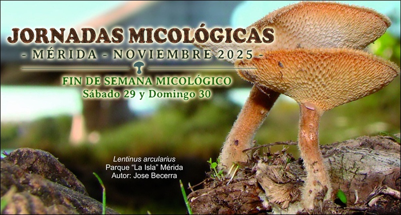 2025-fin-semana-micologico-peq